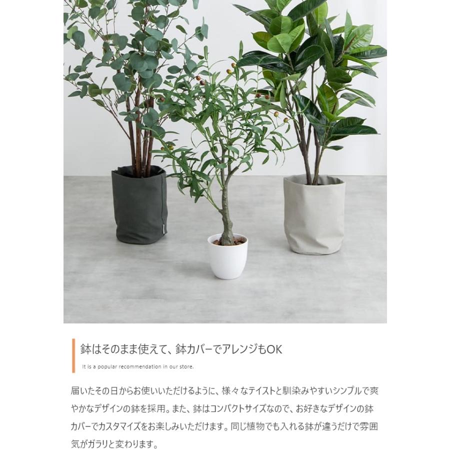 光触媒 人工観葉植物 オリーブ 高さ85cm フェイクグリーン 抗菌 防臭｜iwaya-mart｜08