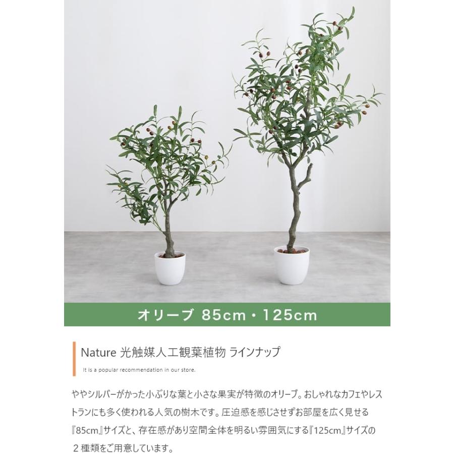 光触媒 人工観葉植物 オリーブ 高さ125cm フェイクグリーン 抗菌 防臭
