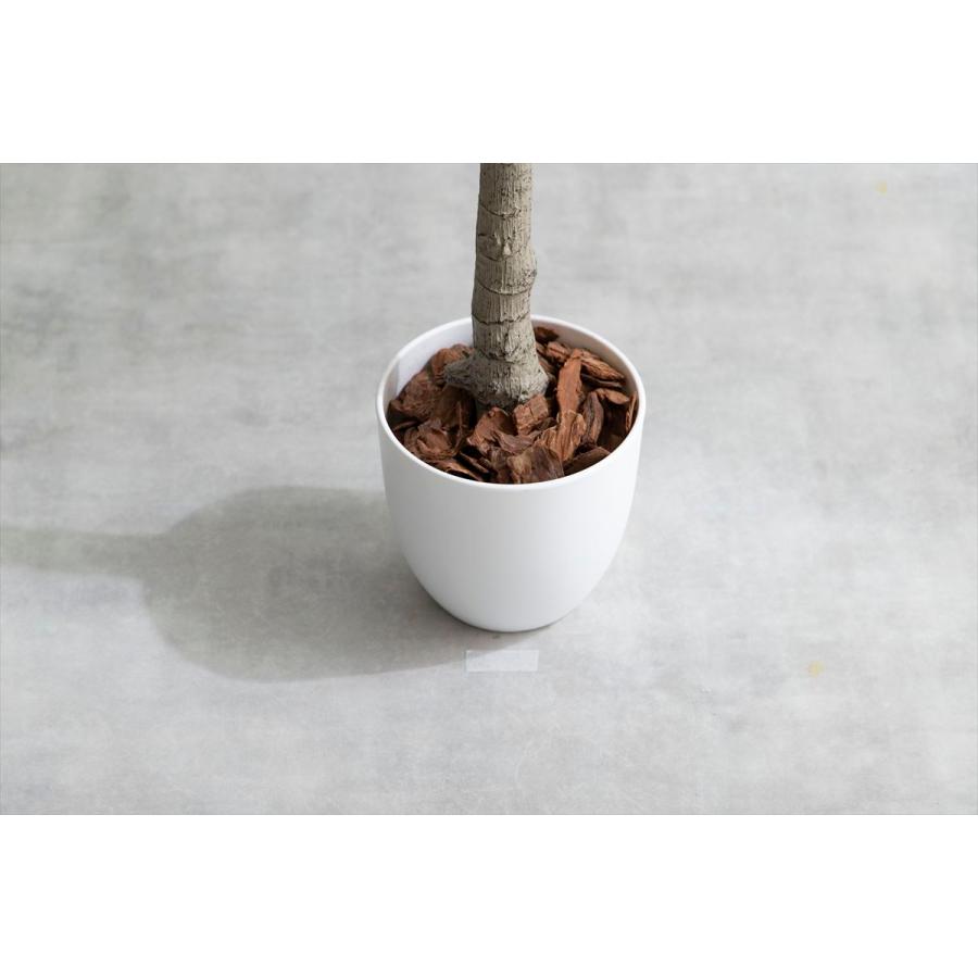 光触媒 人工観葉植物 高さ120cm ベンジャミン フェイクグリーン 水やり