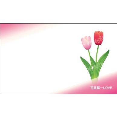 グリーティングカードC034 名刺サイズ 片面印刷 100枚 カード印刷 メッセージカード | ブランド登録なし