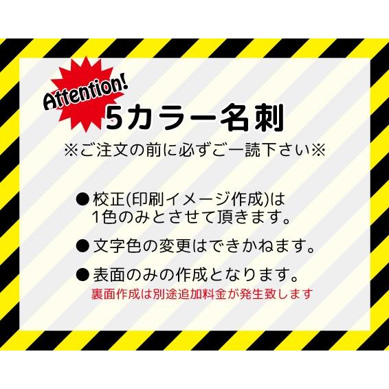 5カラー名刺1箱5色入り 片面印刷  名刺印刷 名刺作成 | ブランド登録なし | 02