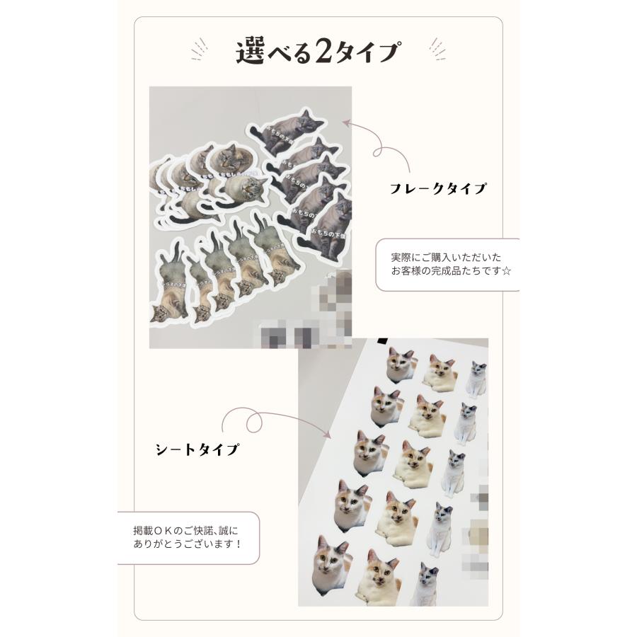 シール ステッカー オリジナル オーダーメイド うちのこ わが子 写真