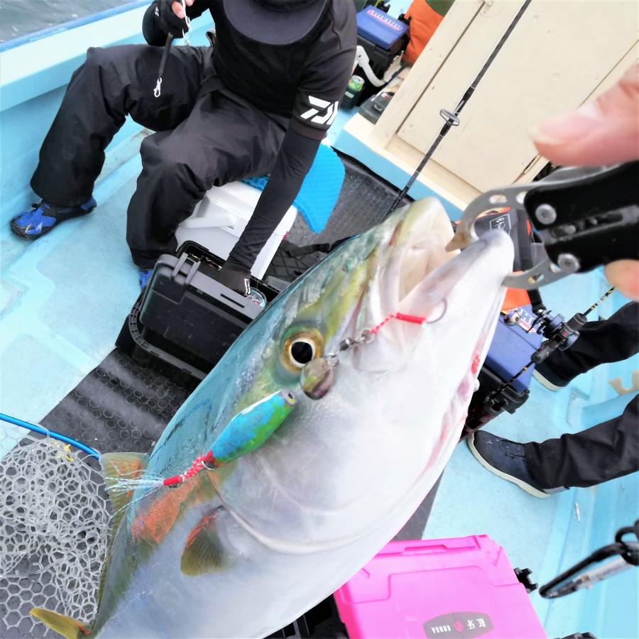 ブレードフック 4# 1個 シルバー トレブルフック スピンテイル 青物 ブリ サワラ サゴシ 釣り |  | 06