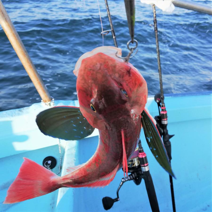 ブレードフック 4# 1個 シルバー トレブルフック スピンテイル 青物 ブリ サワラ サゴシ 釣り |  | 09