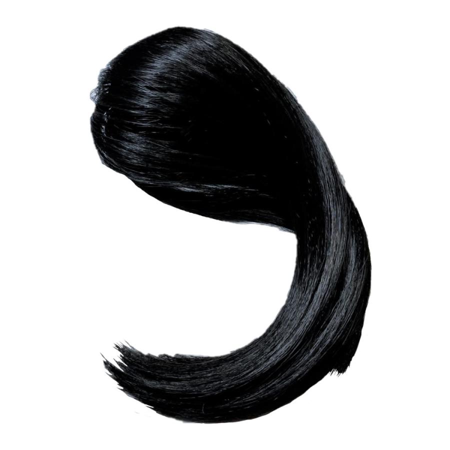 ポイントウィッグ ブラック 部分 トップカバー かつら 頭頂部 カバー 自由にカットできるカツラ |  | 06