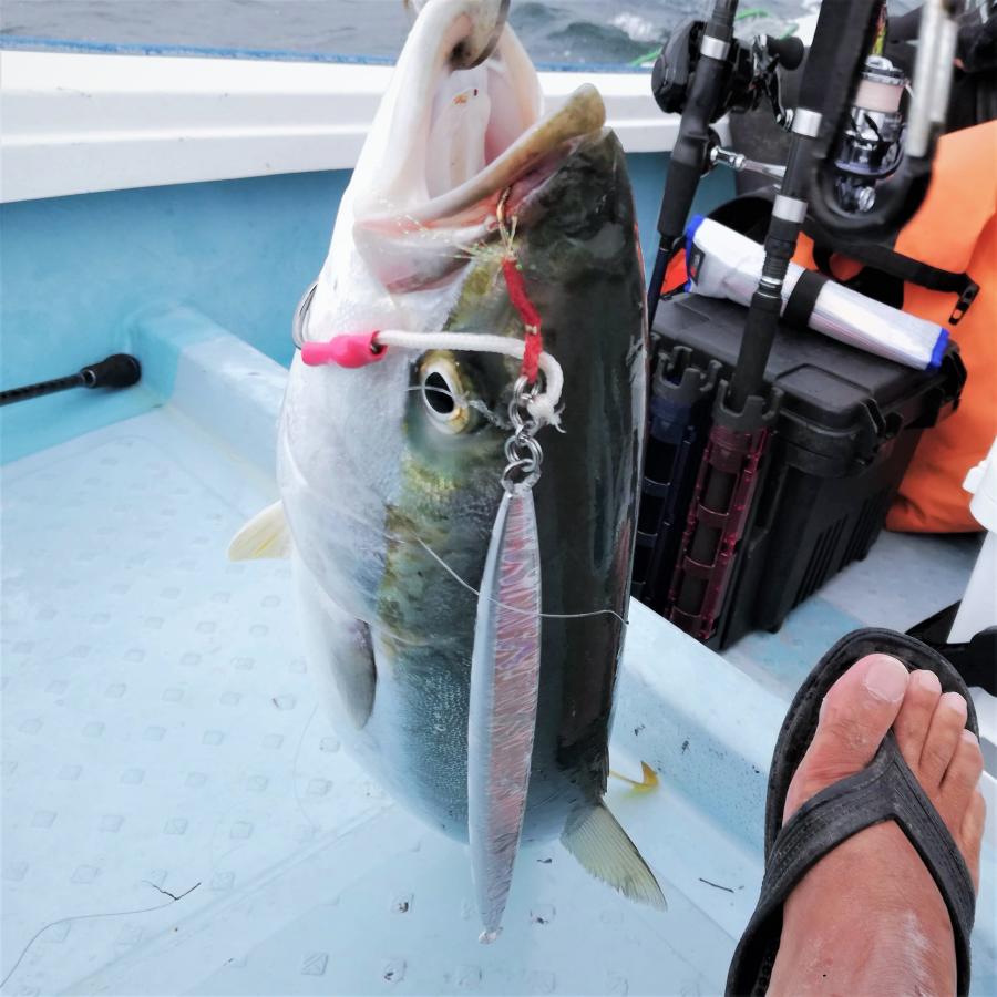 スプリットリング#6 外径6mm  ステンレス 20個セット  ハマチやサゴシ、シーバス釣りに |  | 03