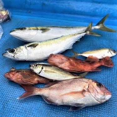タングステンヘッド 鯛ラバ用 80g タイラバ ジグ 重り 無塗装