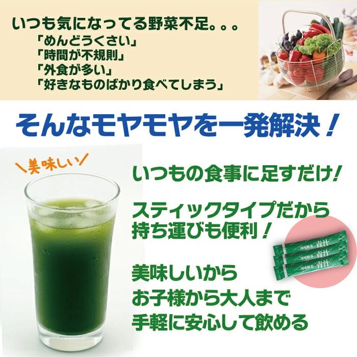 12種類の国産野菜青汁3g×40包入り ICSselection 送料無料 | ブランド登録なし | 02