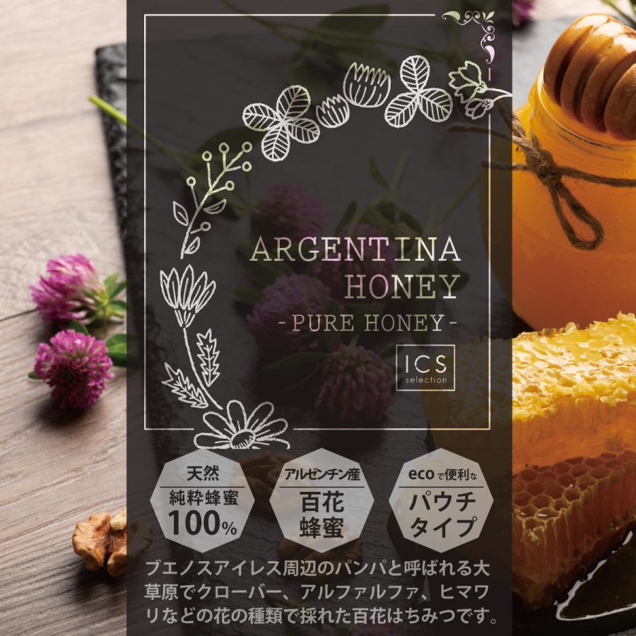 アルゼンチン産 純粋 百花はちみつ 350g 無添加 蜂蜜 百花蜜 パウチ 詰