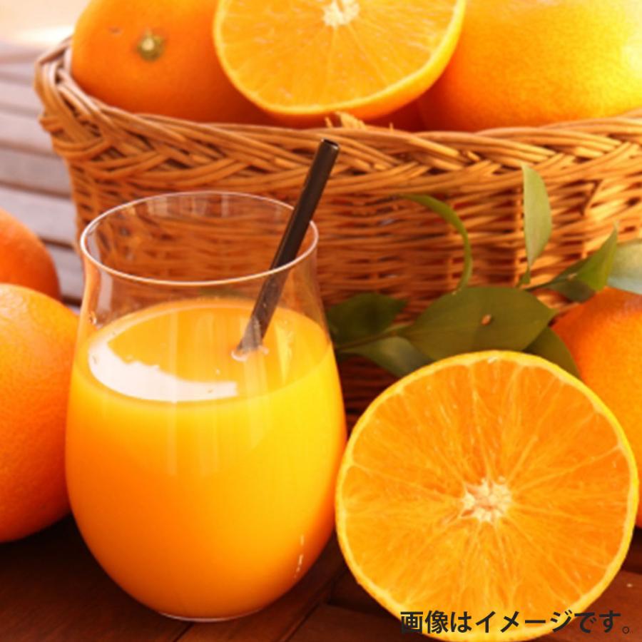 ジューシー JA熊本果実連 みかんジュース 果汁100％ 125ml×36本