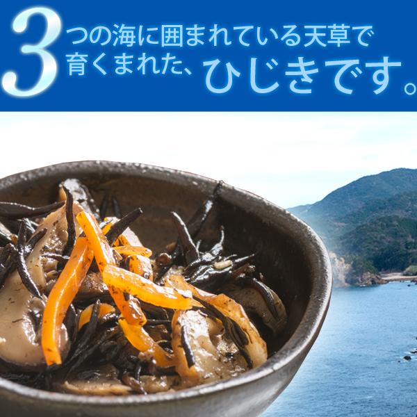 乾燥 芽ひじき 45g 熊本県 天草産 限定 国産 メール便送料無料 乾燥 芽ひじき 45g 熊本県 天草産 限定 国産 メール便送料無料