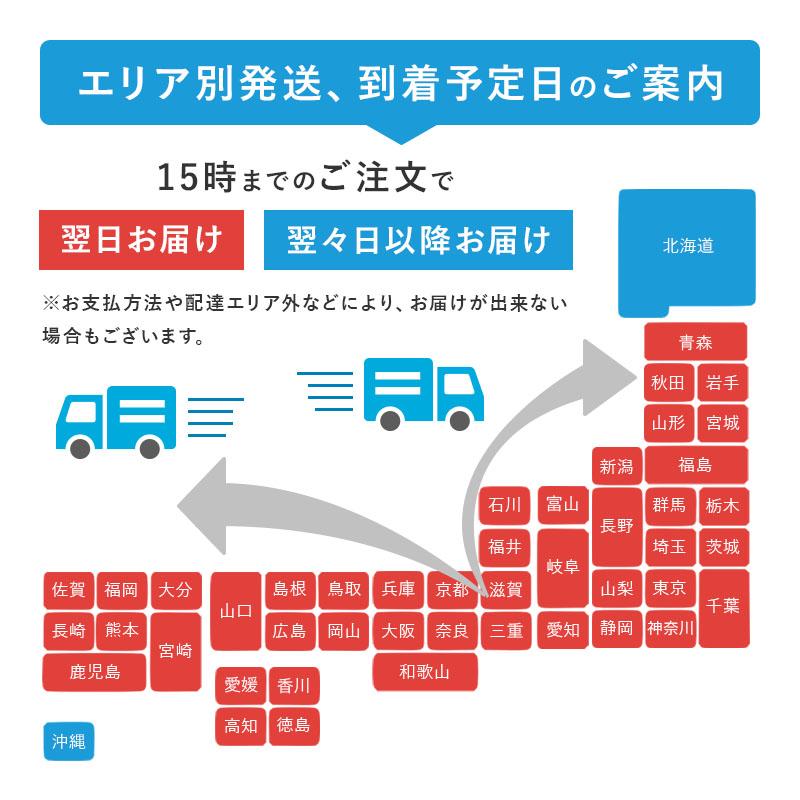 MAGNA(マグナ) スノーボールメーカー あひる製造機 雪玉製造機 あひる型 レギュラーサイズ 2個セット 雪玉 雪遊び｜ixiru01｜15