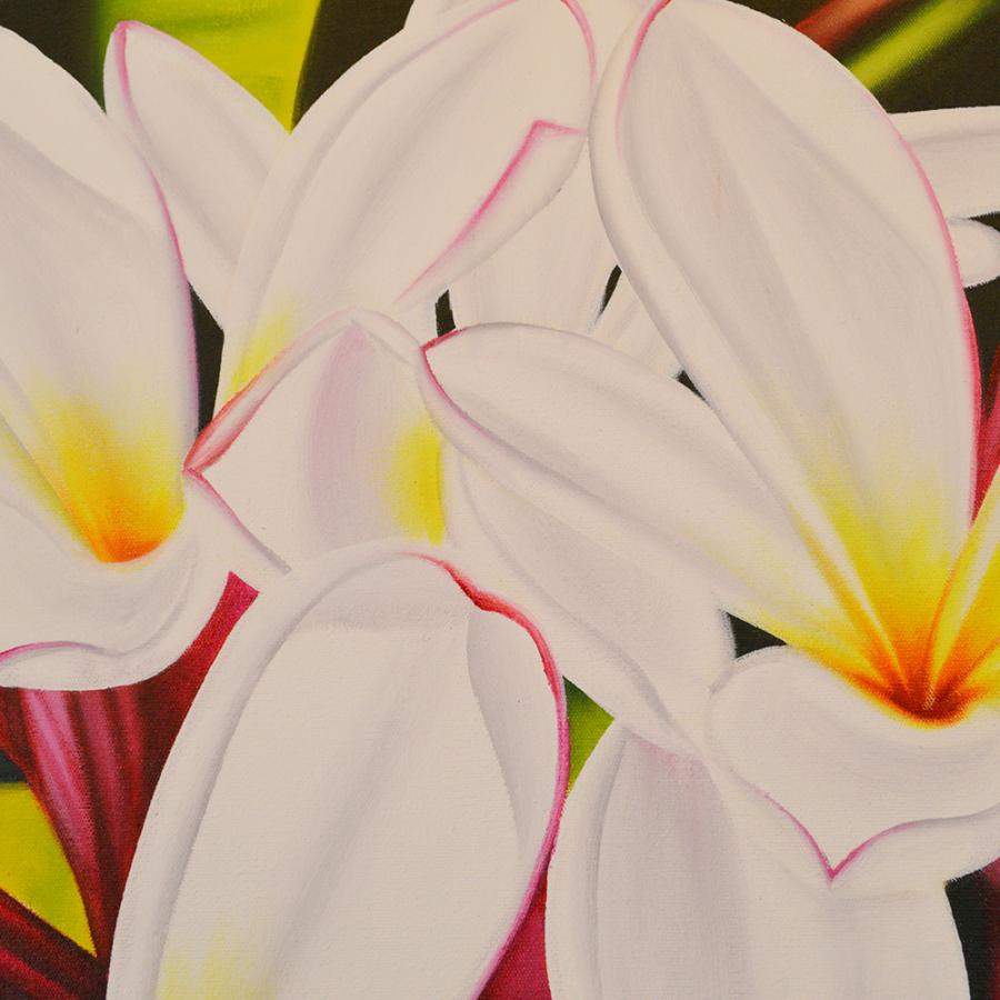 絵画 インテリア 花 玄関 花の絵 プルメリア アートパネル 絵画 インテリア 花 玄関 花の絵 プルメリア アートパネル