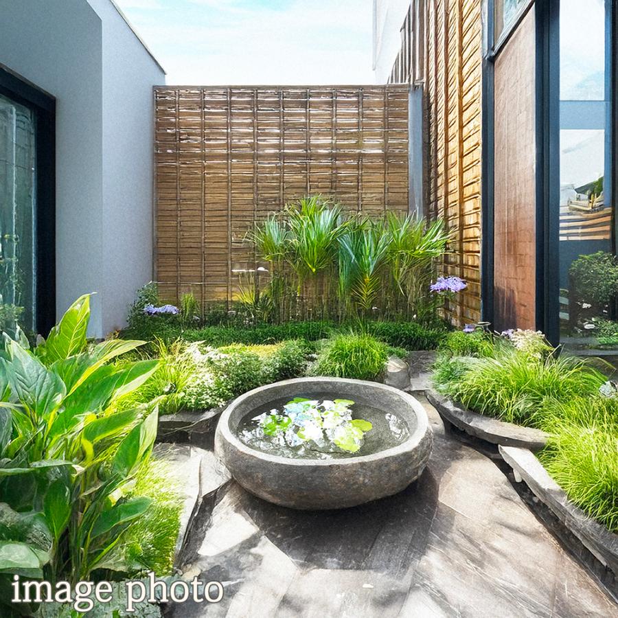 つくばい 手水鉢 石 睡蓮鉢 大型 おしゃれ 水鉢 メダカ鉢 水盤 庭