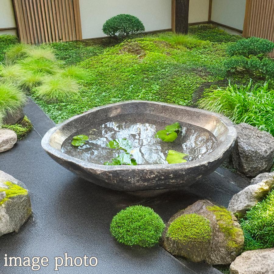 つくばい 手水鉢 石 睡蓮鉢 大型 おしゃれ 水鉢 水盤 メダカ鉢 つくばい 手水鉢 石 睡蓮鉢 大型 おしゃれ 水鉢 水盤 メダカ鉢