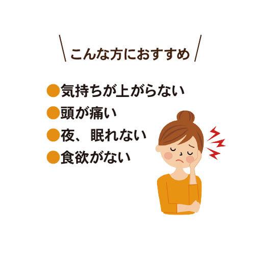 電磁波防止グッズ CMCスタビライザー5型｜wifi 5G対応 電磁波ストレス