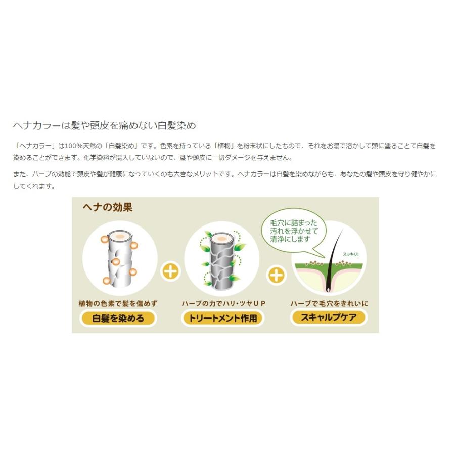 白髪染め ヘナ ｜ 早染めスーパーブラウン 100g グリーンノート 天然