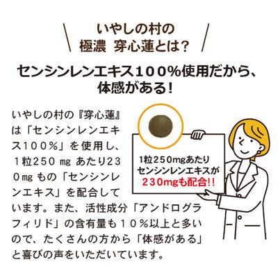 サプリ 極濃穿心蓮 センシンレン｜140粒 30日分 アンドログラフィス
