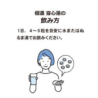 サプリ 極濃穿心蓮 センシンレン｜140粒 30日分 アンドログラフィス