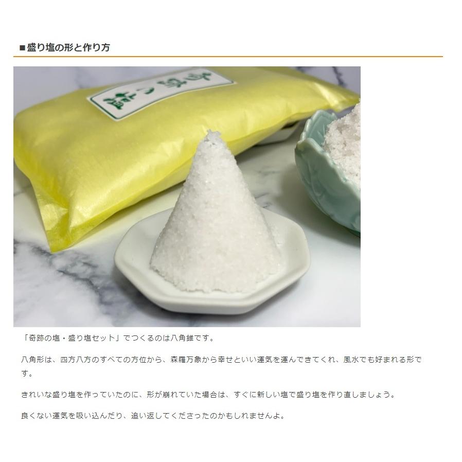 盛り塩セット 奇跡のお清め｜奇跡の塩500g＋盛り塩ケース・八角盛り塩