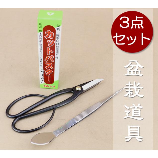 盆栽道具3点セット 盆栽鋏 ピンセット 切口塗布剤 盆栽のお手入れに必須の道具 全て国産メーカー いよじ園 Dog003set3 盆栽 いよじ園 Yahoo 店 通販 Yahoo ショッピング