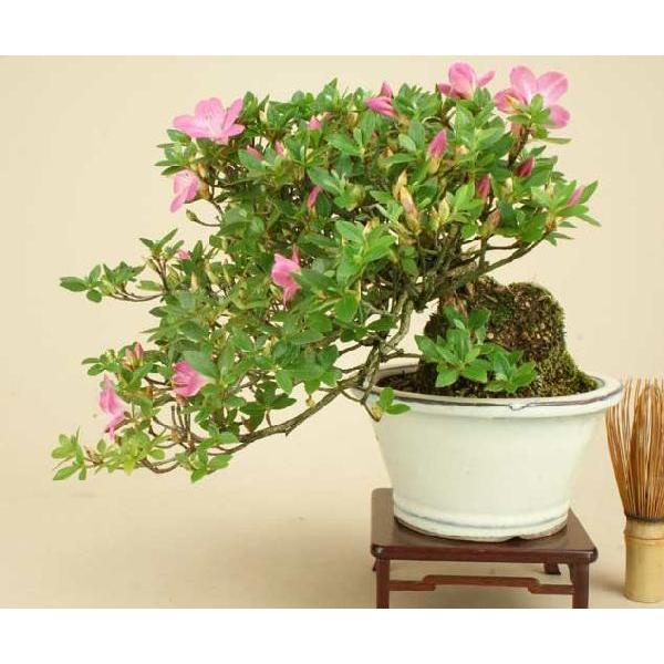 Item Shopping C Yimg Jp I N Iyoji En Mkt 1