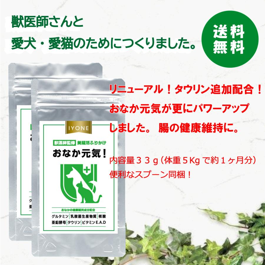 IYONE 獣医師開発 おなか元気 犬猫用サプリ 2袋 グルタミン タウリン