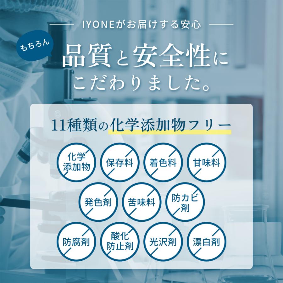 IYONE 獣医師開発 おなか元気 犬猫用サプリ 2袋 グルタミン タウリン