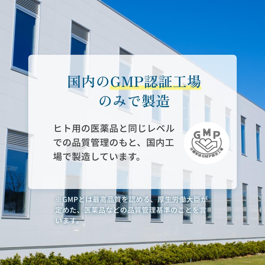 IYONE 獣医師開発 おなか元気 犬猫用サプリ 2袋 グルタミン タウリン