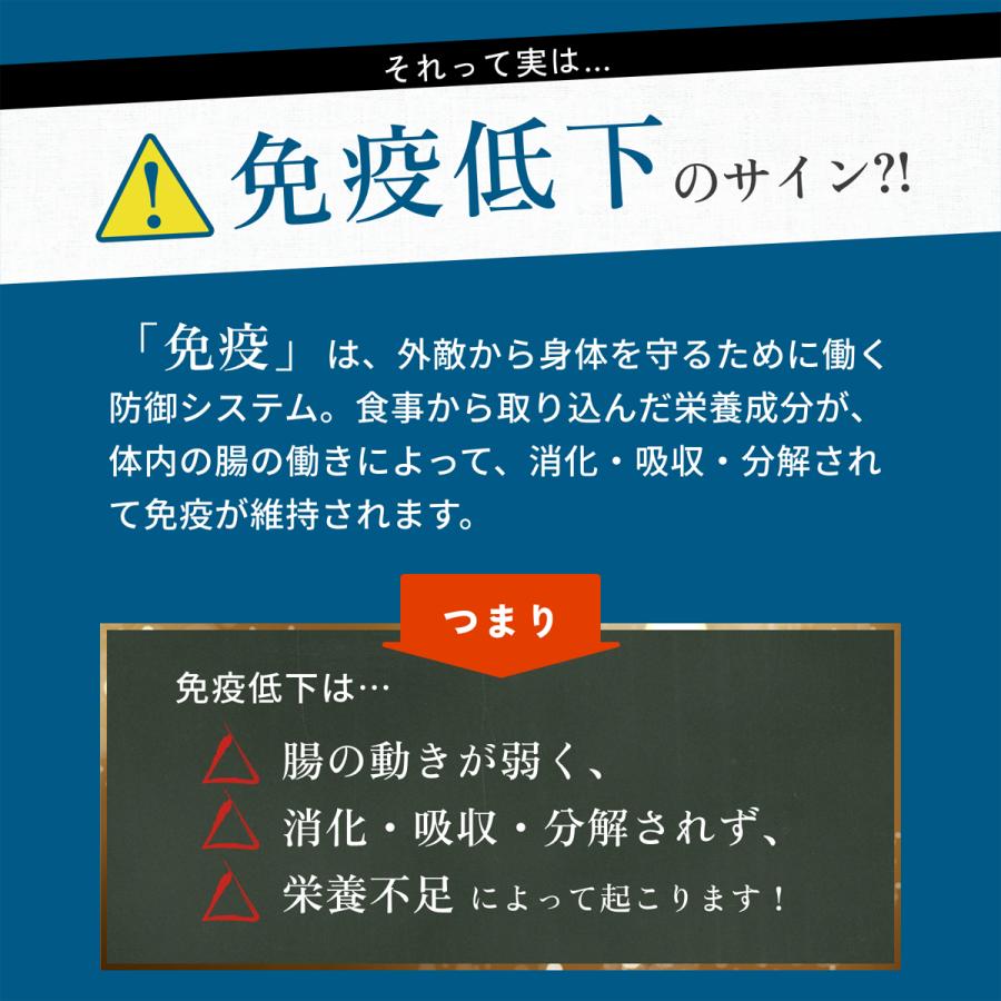 IYONE 獣医師開発 おなか元気 犬猫用サプリ 2袋 グルタミン タウリン