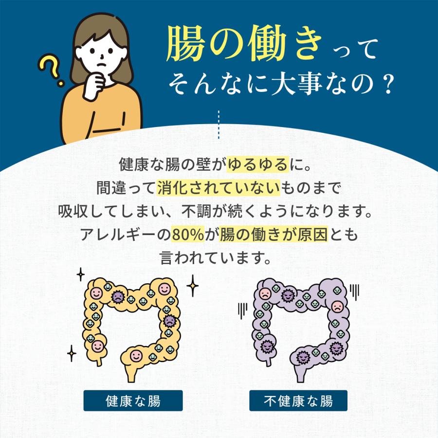 IYONE 獣医師開発 おなか元気 犬猫用サプリ 2袋 グルタミン タウリン