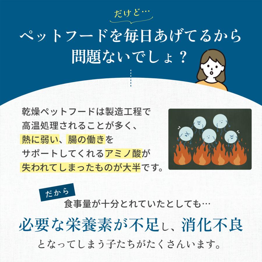 IYONE 獣医師開発 おなか元気 犬猫用サプリ 2袋 グルタミン タウリン