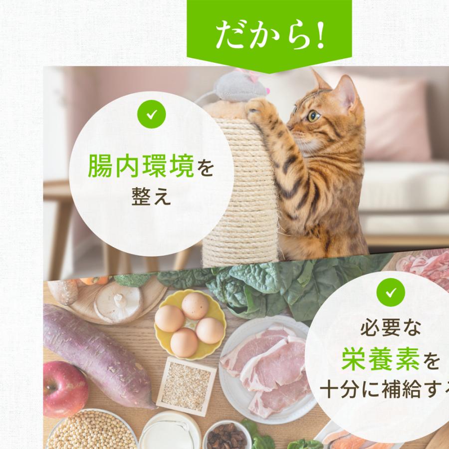 IYONE 獣医師開発 おなか元気 犬猫用サプリ 2袋 グルタミン タウリン