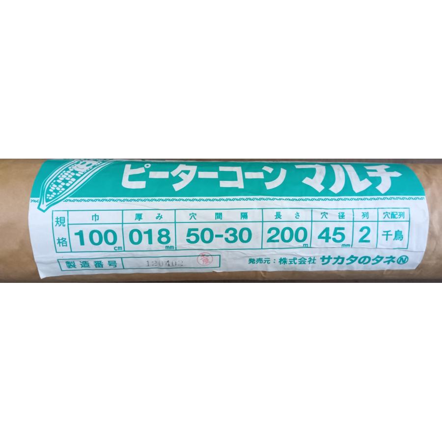 サカタのタネ（サカタノタネ） ピーターコーンマルチ透明 送料含む