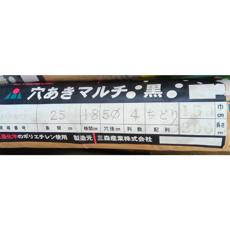 穴あき黒マルチ02x150x200（4条千鳥 条間25x株間18 φ5）送料込