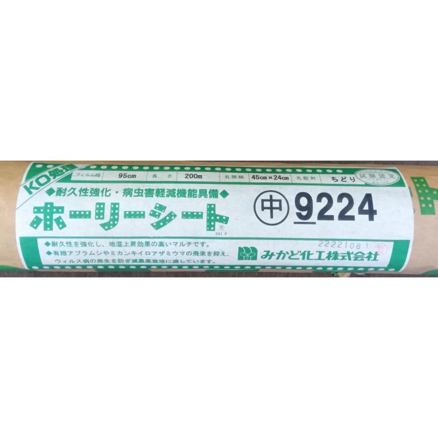 みかど KOホーリーシートマルチ N9224中 送料含む : らくいよ