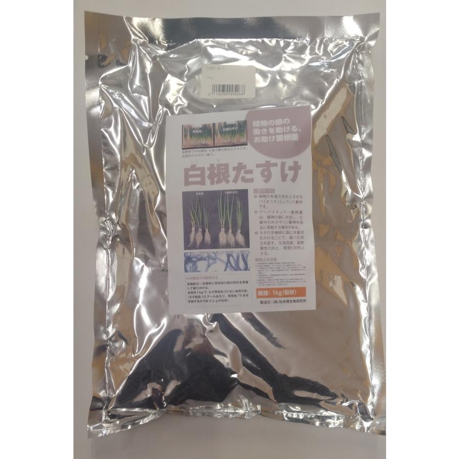 ねぎ用菌根菌 白根たすけ 1kg （育苗用G2) : らくいよガーデン - 通販