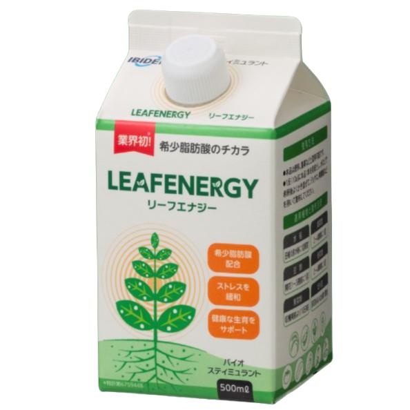 VASAYO ENERGY バサヨ　エナジー　2本セット リーフエナジー 500ml x 2本セット : らくいよガーデン - 通販