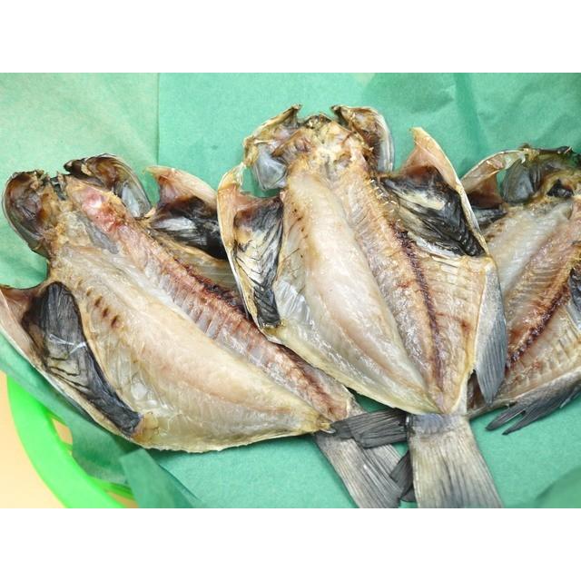 冷凍のどぐろ一夜干し70/90　 |  | 03