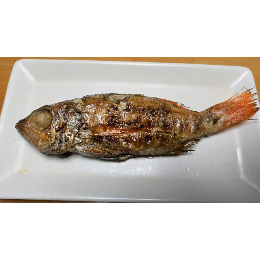 極上のどぐろ姿焼き用（真空冷凍）のどぐろセミドレス(内臓・エラ・ウロコ処理済み)　100-140ｇ/尾　5尾セット | 