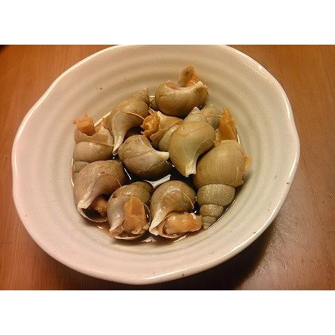 梅貝　ばい貝　バイ貝　富山産　金沢おでんの具　煮付に最高　殻付梅貝　1ｋｇ｜izakayaouentai｜02