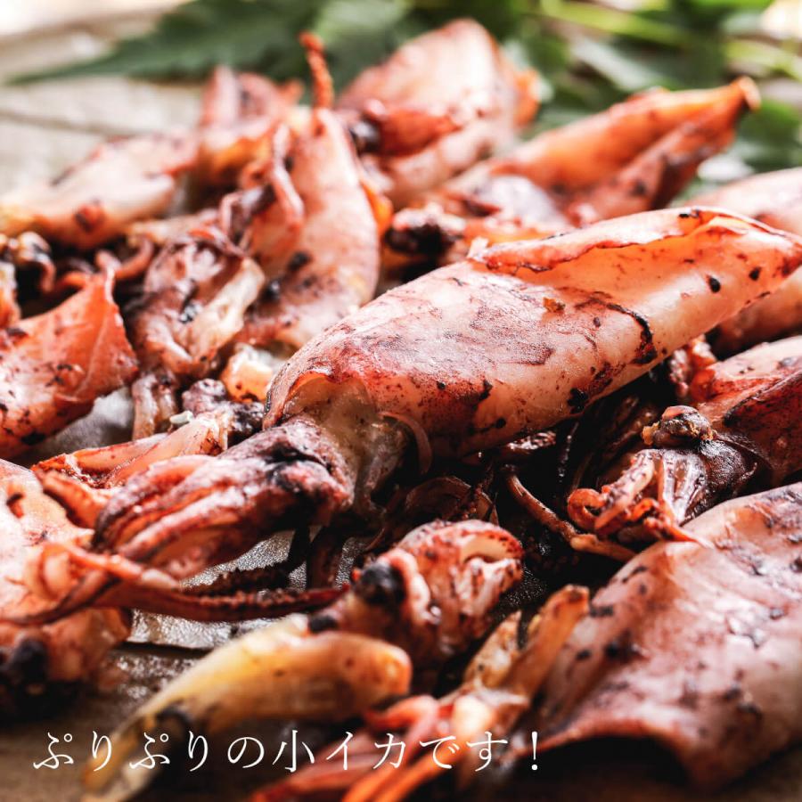 小イカの干物 1袋 Himono 6 いざかや屋 通販 Yahoo ショッピング