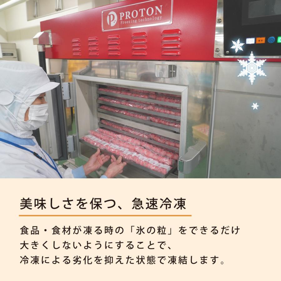 冷凍食品 ゐざさ 人気 衣寿司6種18個入(穴子 さば うなぎ 焼さば さけ 豚蒲焼) ギフト グルメ お取り寄せ お中元 お歳暮 いざさ 中谷本舗【冷凍便】_5