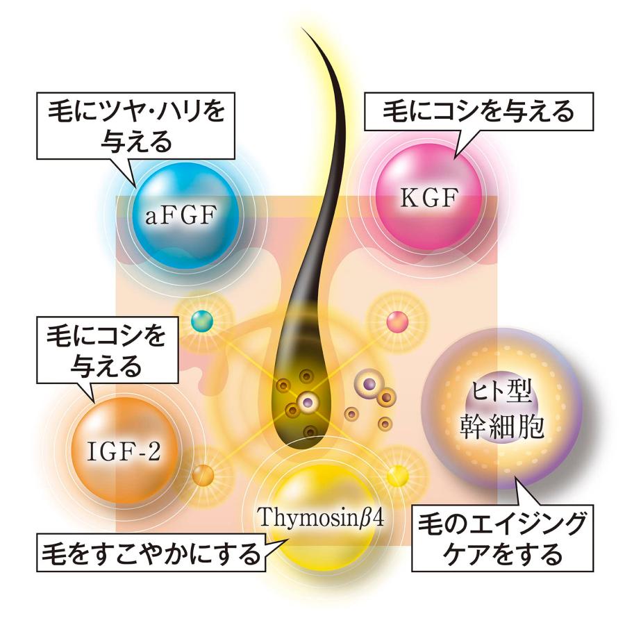 まつ毛美容液 ヒト幹細胞培養液 アイラッシュセラム  まつ毛ケア 眉毛 ステムラッシュ美容液 |  | 02