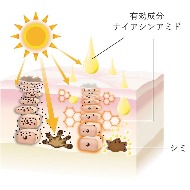 蔵元の雫 薬用美白クリーム シワ改善 シミ 医薬部外品 ナイアシン