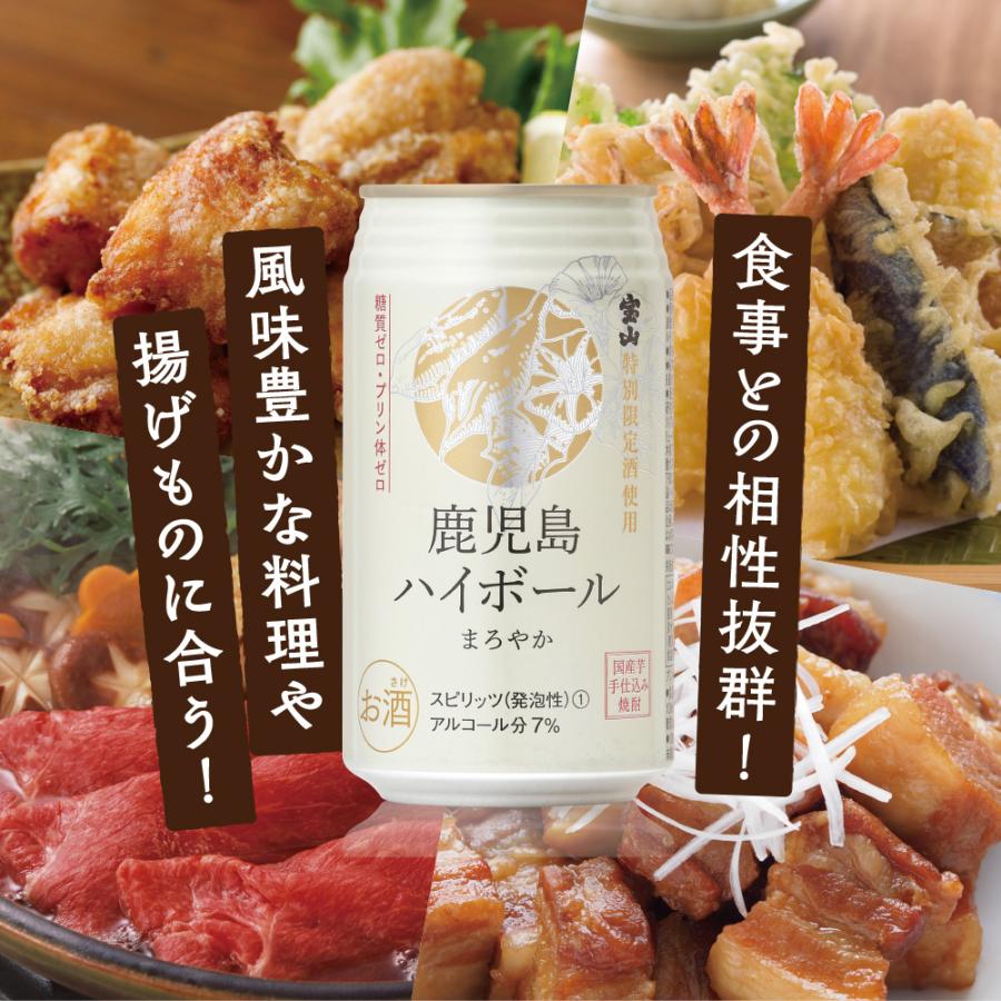 味香り戦略研究所 鹿児島ハイボール まろやか 缶 350ml 1ケース(24本) | 味香り戦略研究所 | 02