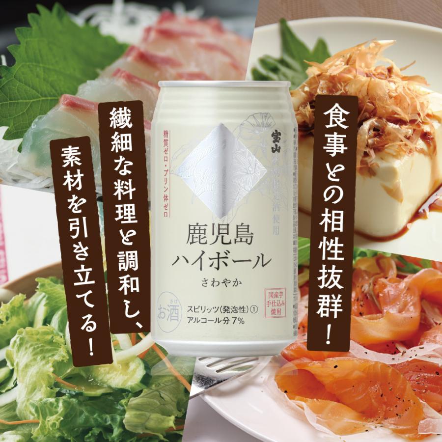 味香り戦略研究所 鹿児島ハイボール さわやか 缶 350ml 1ケース(24本) | 味香り戦略研究所 | 02