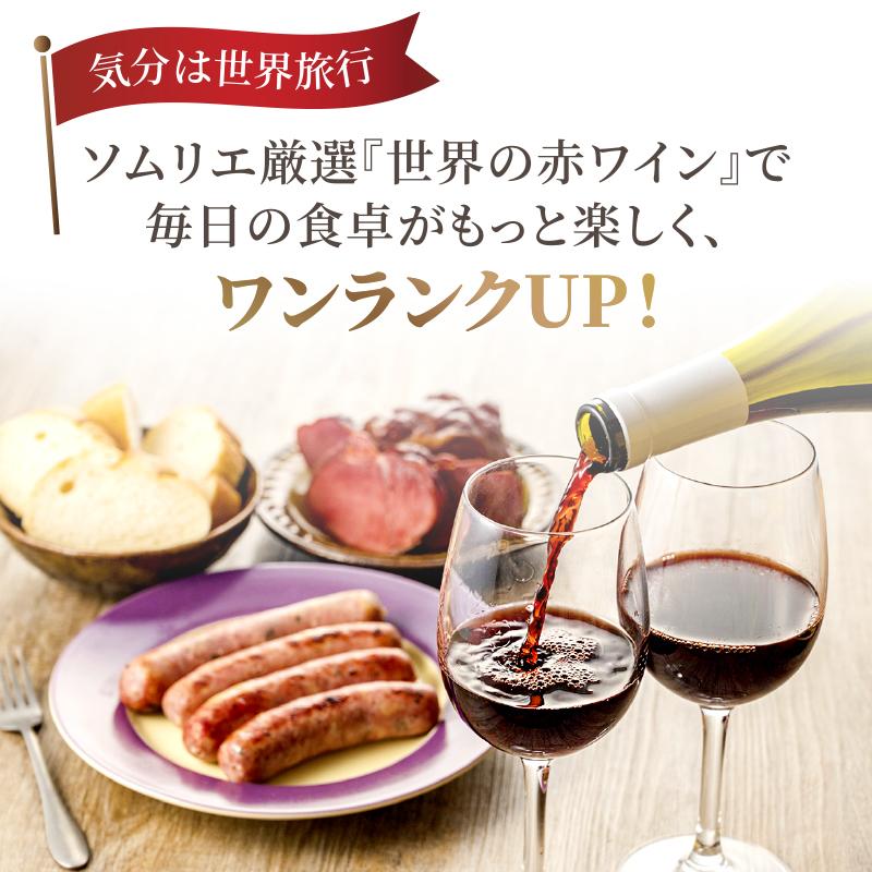 ポイント5%付与中】ソムリエ厳選 世界の赤ワイン 飲み比べ 驚異 ポイント5%付与中】ソムリエ厳選 世界の赤ワイン 飲み比べ 驚異