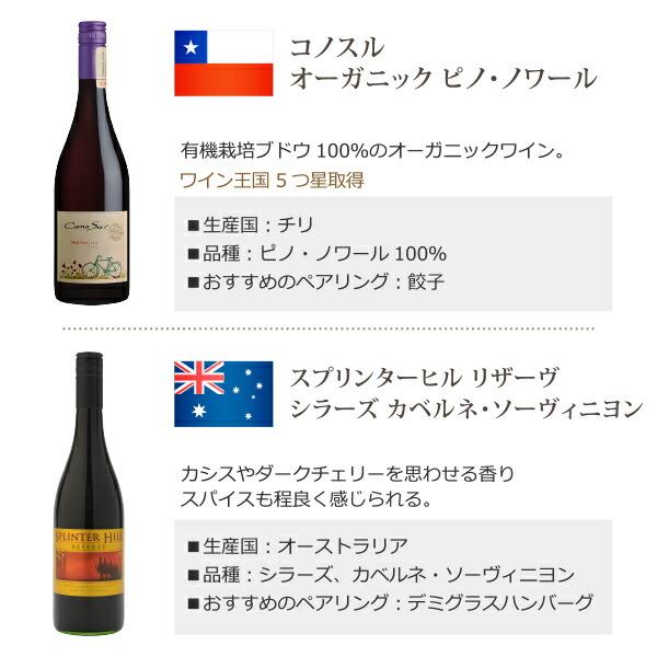 【ポイント5%付与中】ソムリエ厳選 世界の赤ワイン 飲み比べ 驚異の9か国 10品種 12本セット wine｜izmic-ec｜07