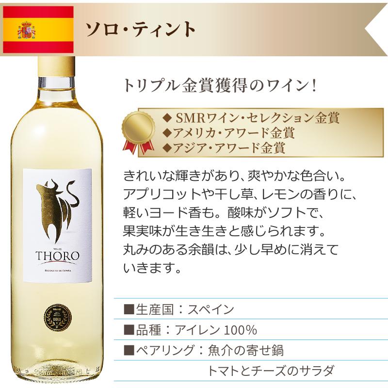ポイント10%付与中】ソムリエ厳選 世界の白ワイン 飲み比べ 10か国 10